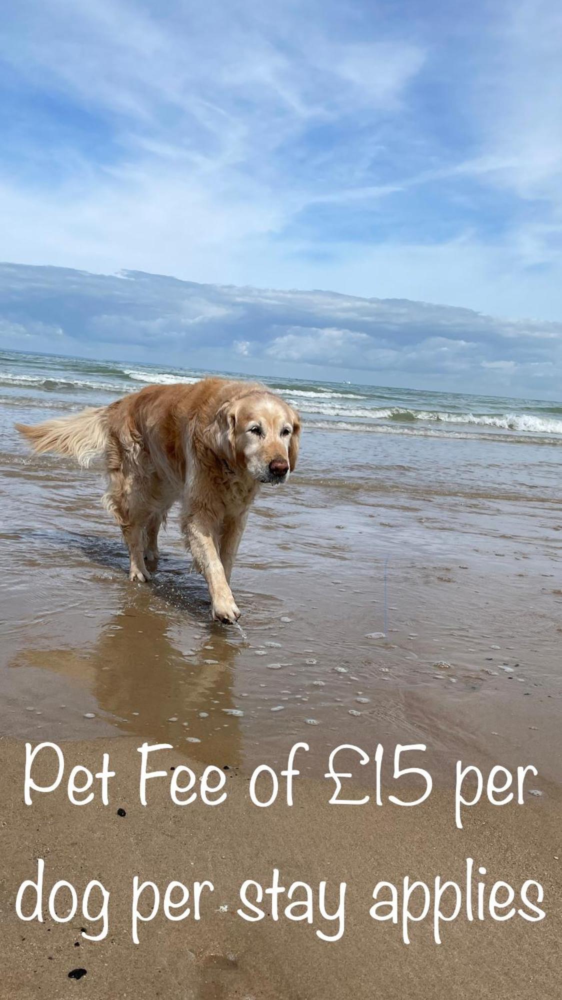 Fab Stay Uk - Coastal And Country Retreat With Free Secure Off Road Parking Minutes From Both Dover And Deal 외부 사진